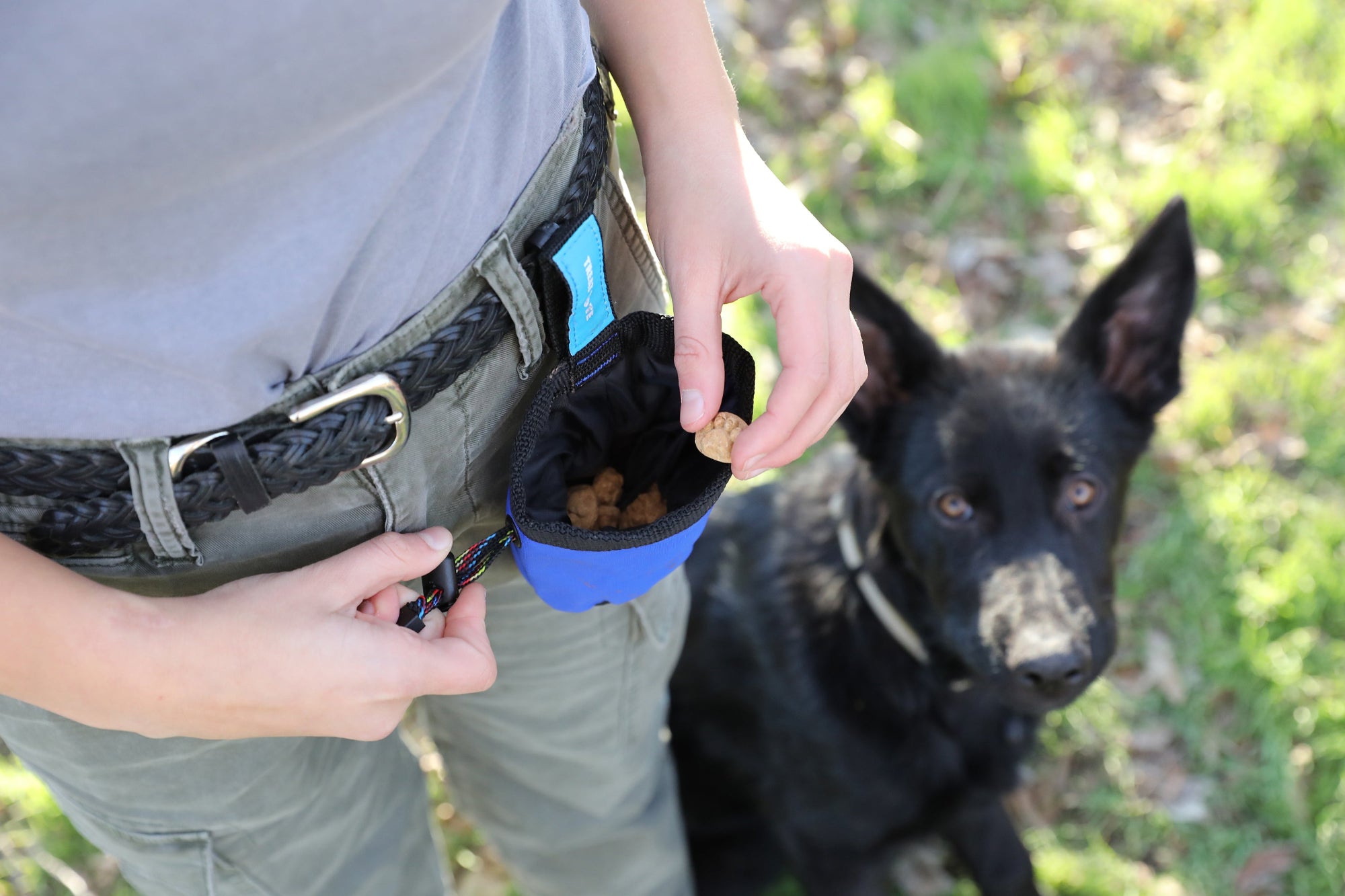 A person in a gray top and green pants uses a Chuckit! Treat Tote attached to their belt to reward their attentive black dog, demonstrating the effectiveness of reward-based training.