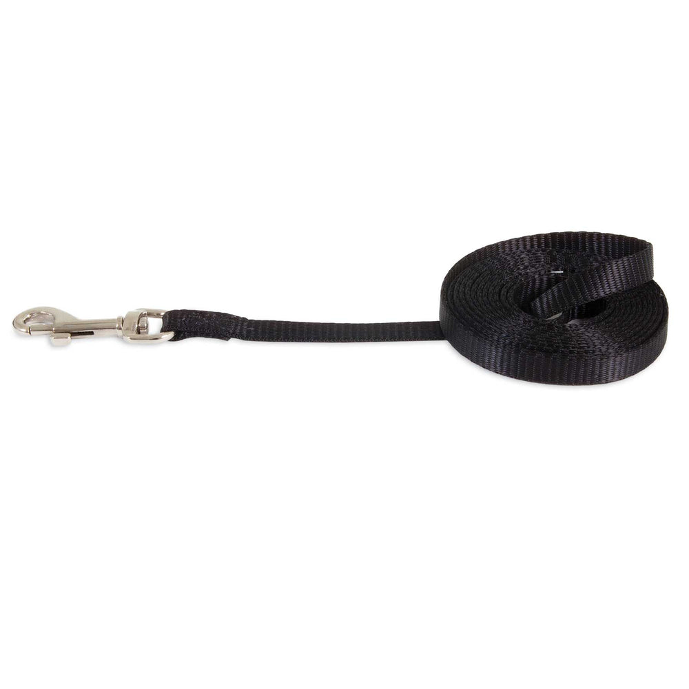 The Petmate Nylon Standard Core Dog Lead is a coiled black nylon leash from Petmate that includes durable hardware and features a metallic clasp on one end.