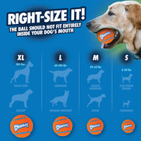 A graphic titled Right-Size It! features a dog with a ball, highlighting Chuckit Tennis Balls for Dogs in various sizes: XL for Great Dane, Mastiff; L for Labrador, German Shepherd; M for Golden Retriever; S for Jack Russell Terrier. Made by Chuckit, these high-bouncing balls ensure safe play by preventing mouth fit.