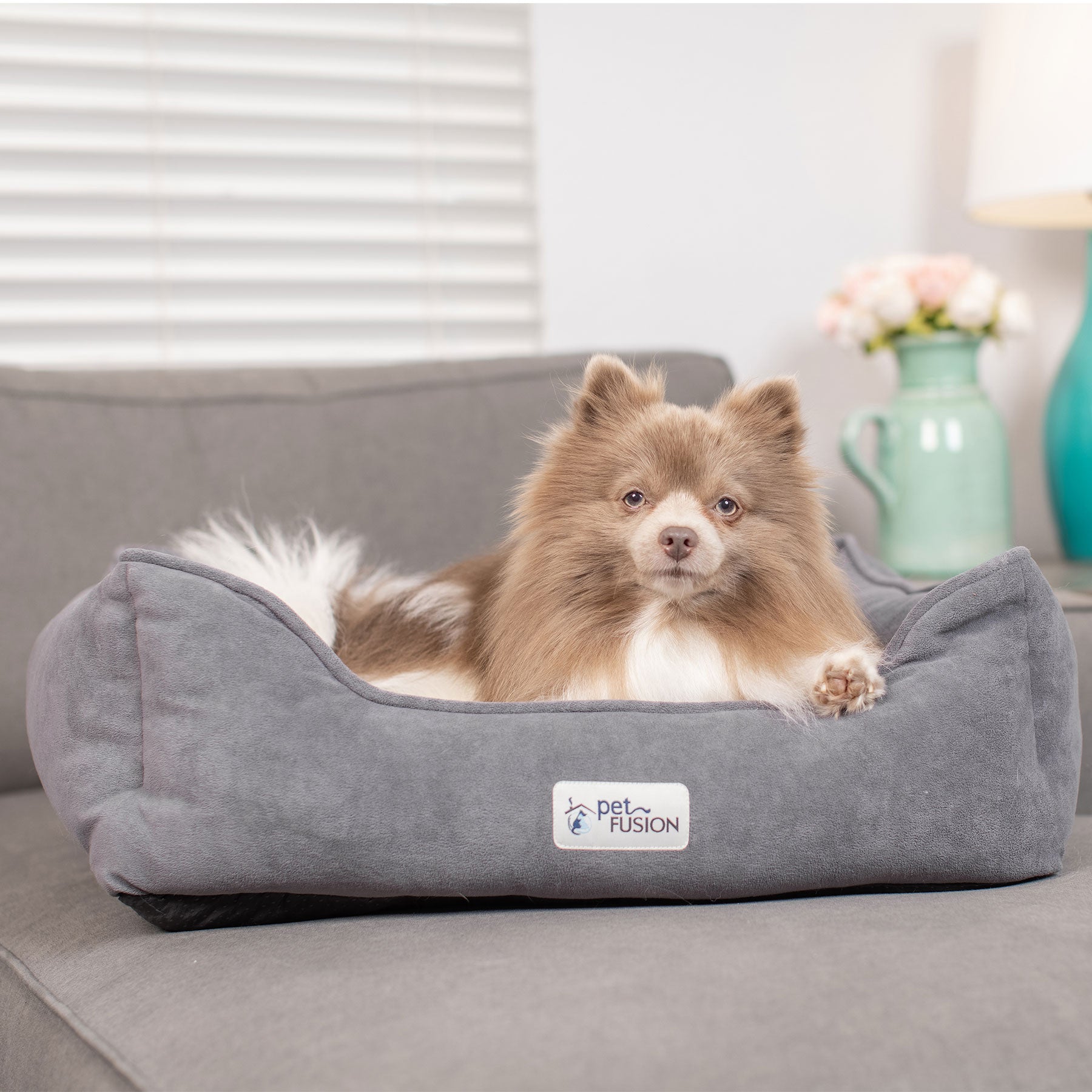 A fluffy brown and white dog lies in a gray PetFusion Calming Cuddler Dog Bed with CertiPUR-US Memory Foam for anxiety relief on a gray sofa. In the background, there are white blinds, a turquoise vase with flowers, and a lamp.