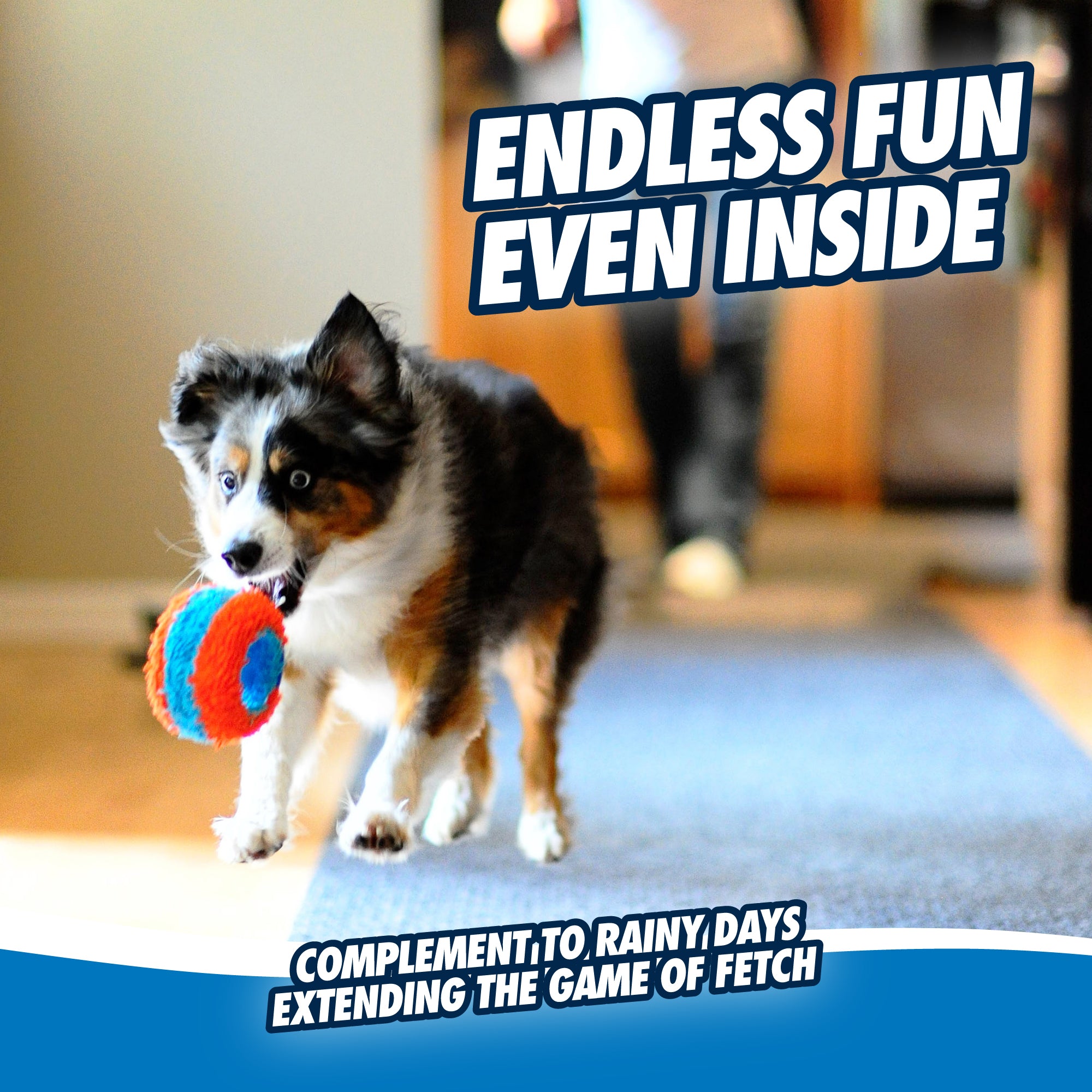 Chuckit! Indoor Roller Dog Toy