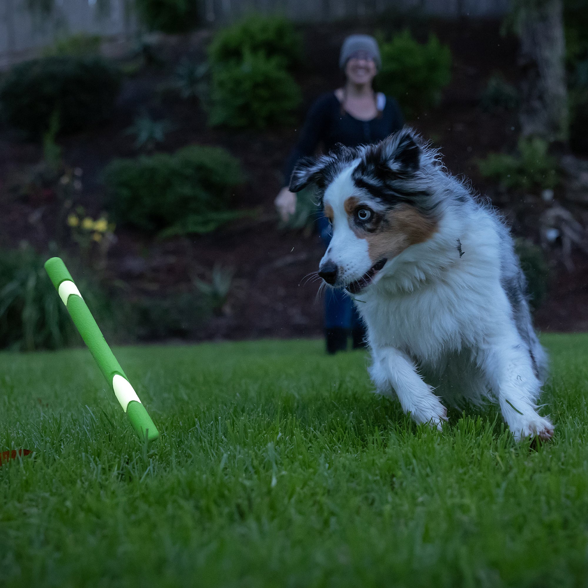 A playful dog with blue eyes chases a Petmate Chuckit! Day & Night Ultra Fetch Stick 2 Pack on grass, while a smiling person in a beanie looks on in the blurred background.