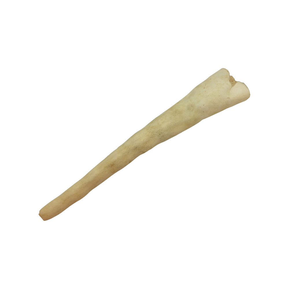 The Wild Eats 11 Water Buffalo Tail Dog Chew is a single, long, beige-colored chew stick on a white background, crafted from natural ingredients to support dental health.