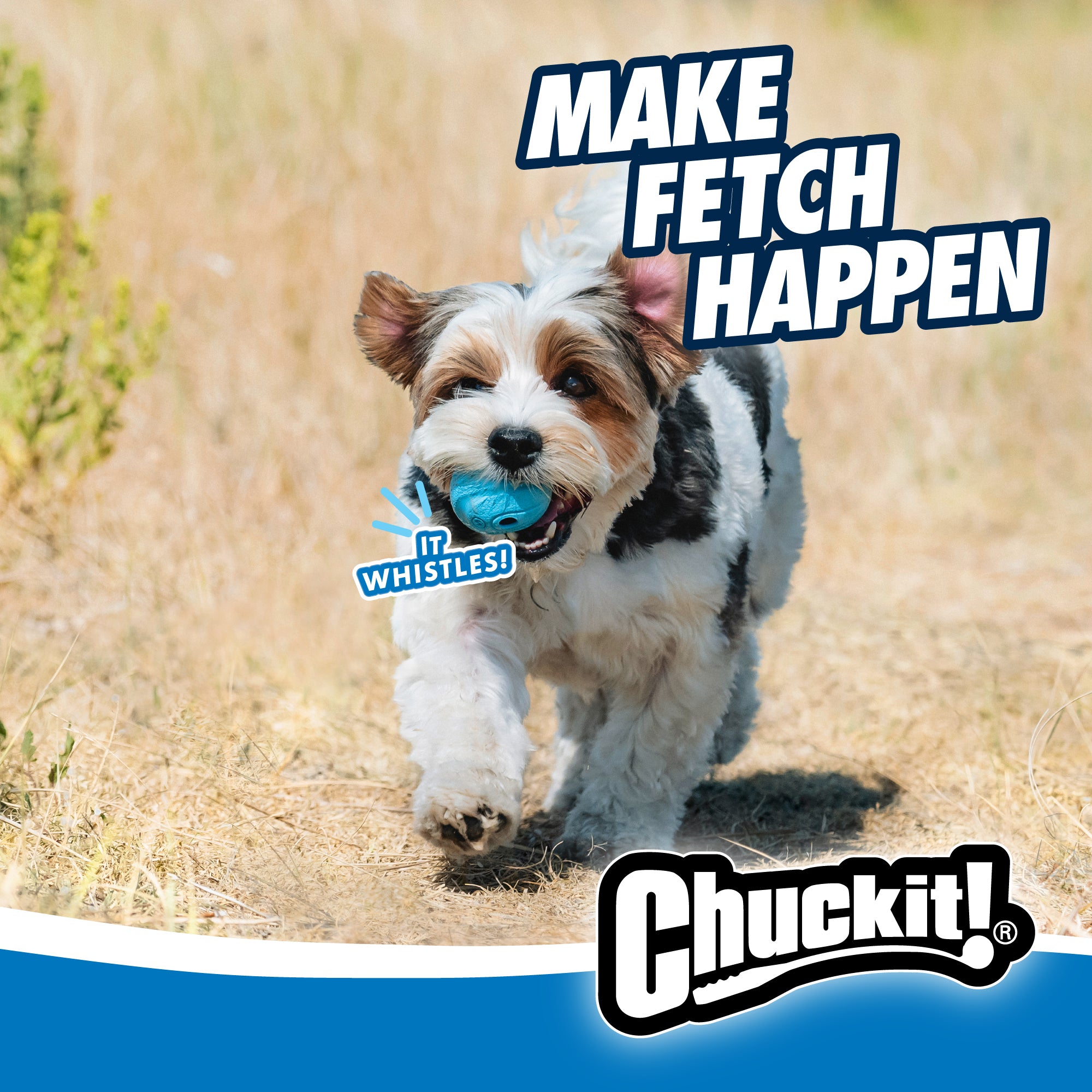 A small dog races down a grassy path, clutching a Chuckit! The Whistler Dog Toy in its mouth. Make Fetch Happen appears at the top right corner, with the Chuckit logo at the bottom.