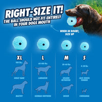 A dog is holding a blue Chuckit! The Whistler Dog Toy in its mouth. The image advises sizing: XL for Great Danes, L for Labradors, M for Golden Retrievers, and S for Chihuahuas. It says, The toy should not fit entirely in your dogs mouth.