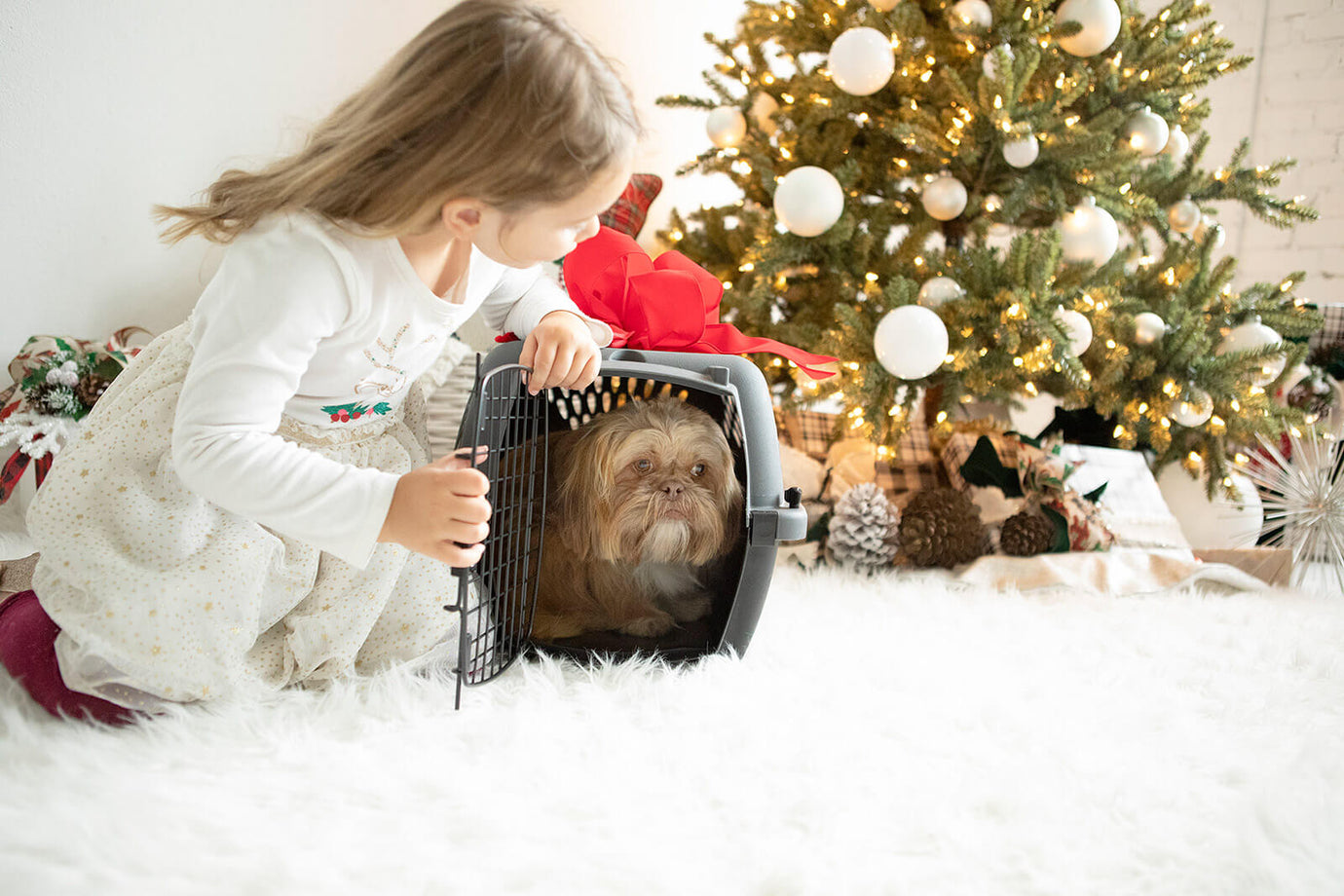 Holiday Gifts for Every Pet Personality: The Ultimate Guide
