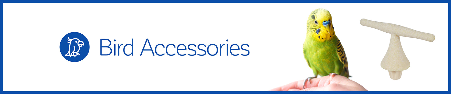 Pet Bird Accessories