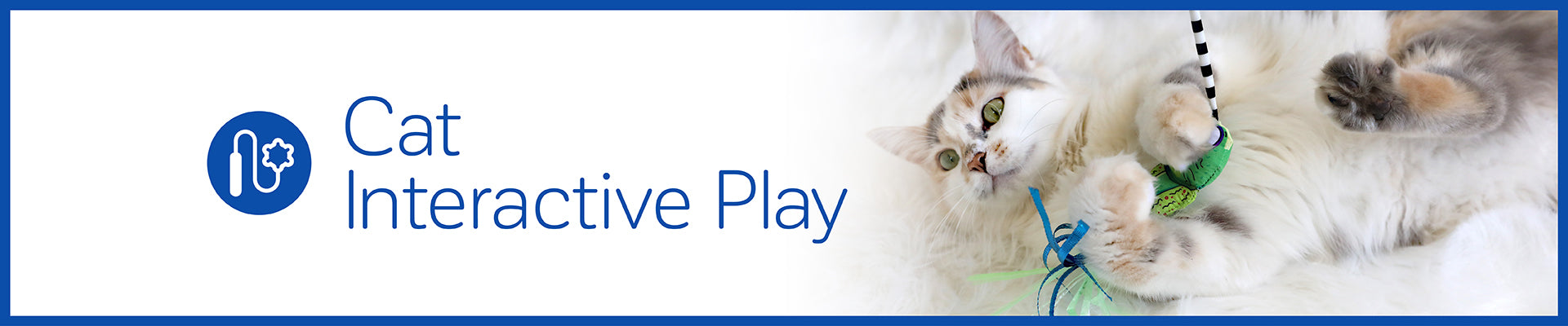 Interactive Toys For Cats