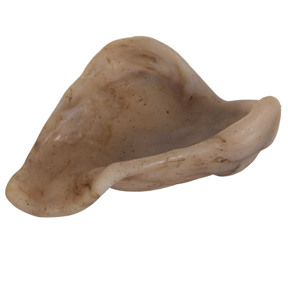 A close-up of the BarkBone Natural Instincts Nylon Pig Ear reveals its smooth, curved, shell-like beige surface with a marbled texture and subtle brown streaks, giving it an organic appearance ideal for curious explorers.