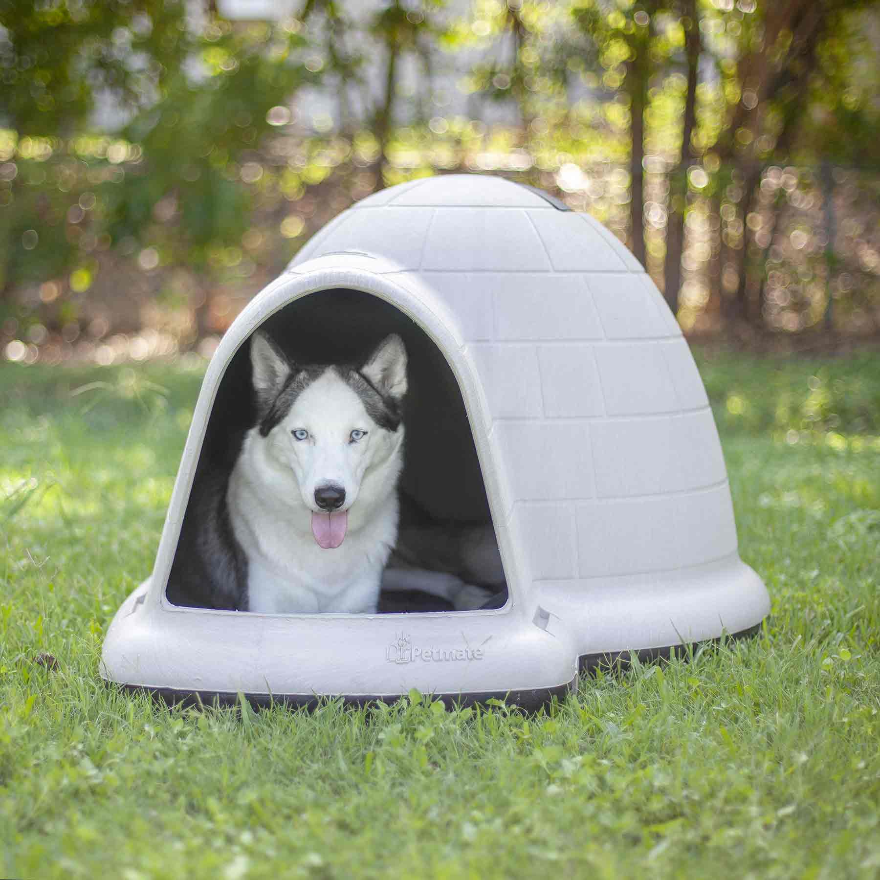 A black and white husky relaxes with its tongue out inside a Petmate Indigo Dog House on a grassy lawn, while trees softly blur in the background.