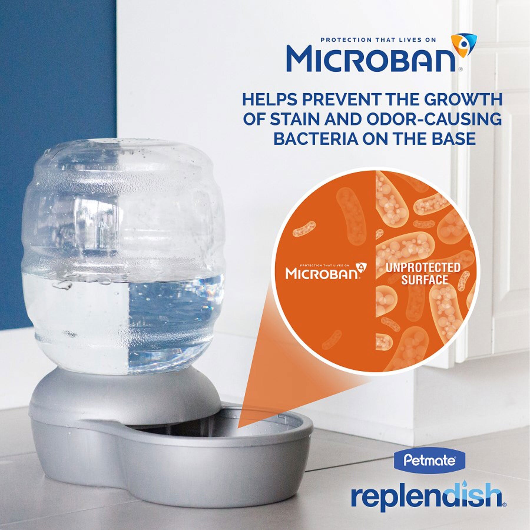 The Petmate Replendish Pet Waterer with Microban by Petmate features antimicrobial protection to combat bacteria, highlighting the effectiveness of treated versus untreated surfaces and keeping your pets water fresh.