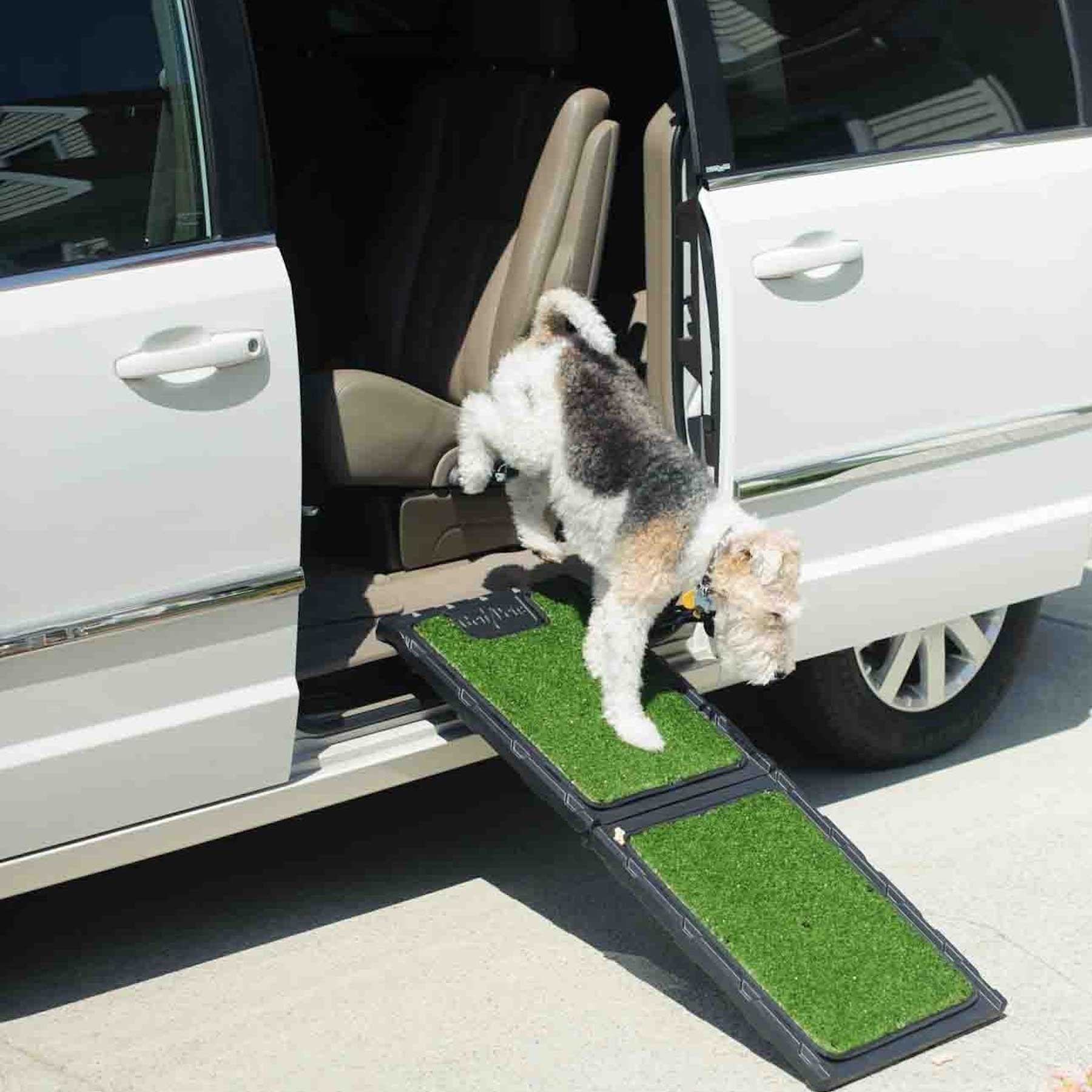 A small dog descends from a white minivan using the Gen7Pets Natural Step Ramp for Vehicles, featuring a poly-grass surface. The car door is open, and the scene is set under the sunny outdoors.