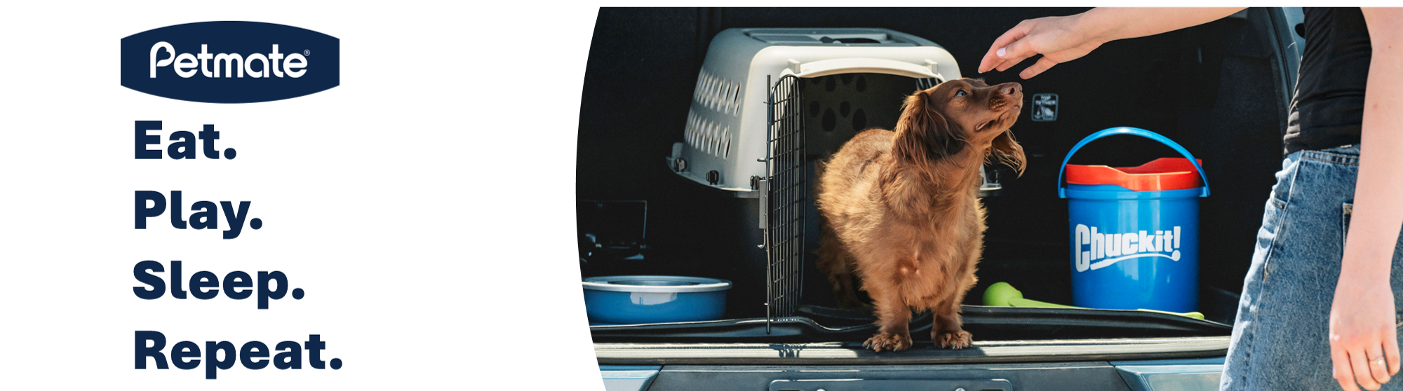 A yellow Labrador lies beside a pet carrier with a red bow, near a decorated Christmas tree. Text reads: Find the perfect holiday gifts for your best friend. Shop now. Petmate.