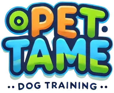 Welcome to Pettame – Your Guide to Expert Dog Training