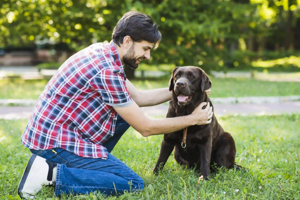 how much does a dog trainer cost