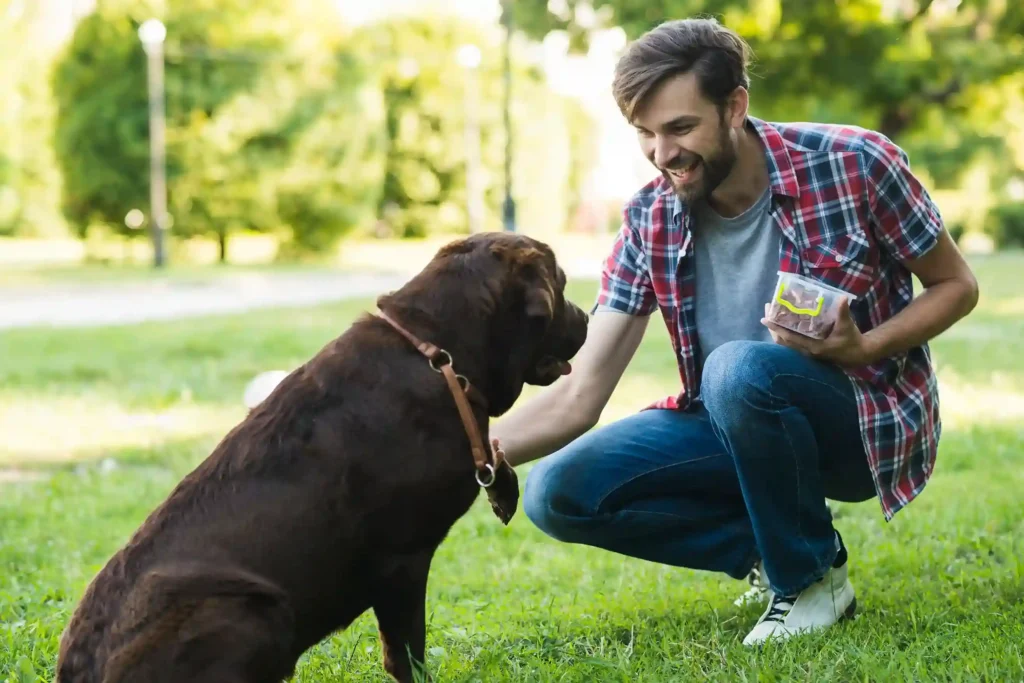 teaching your dog