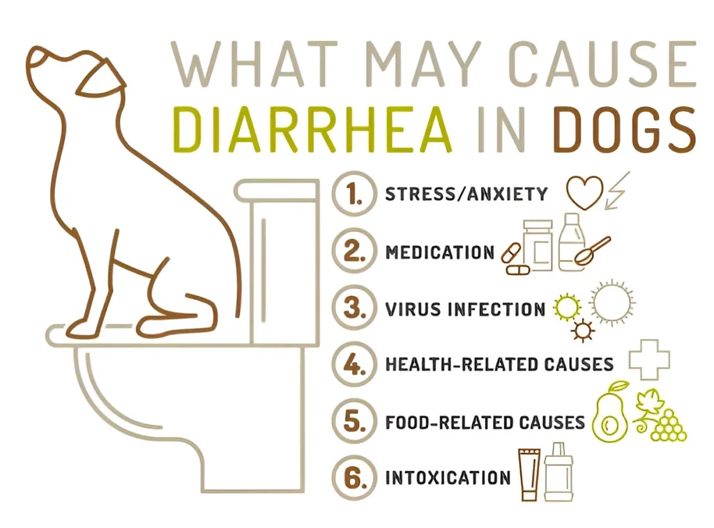 How to Stop Dogs Diarrhea