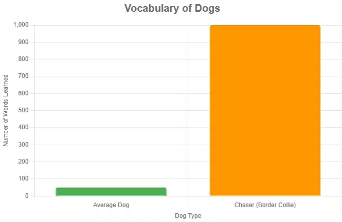 average dog